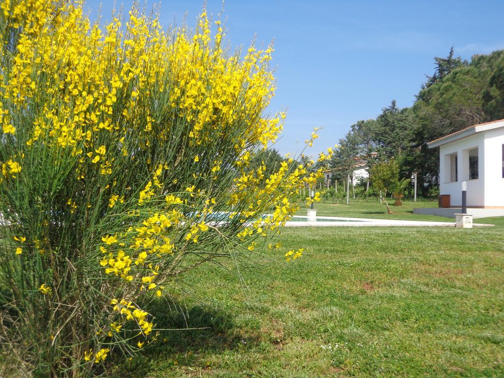 Agriturismo San Giuseppe Villa Gavorrano Exterior photo